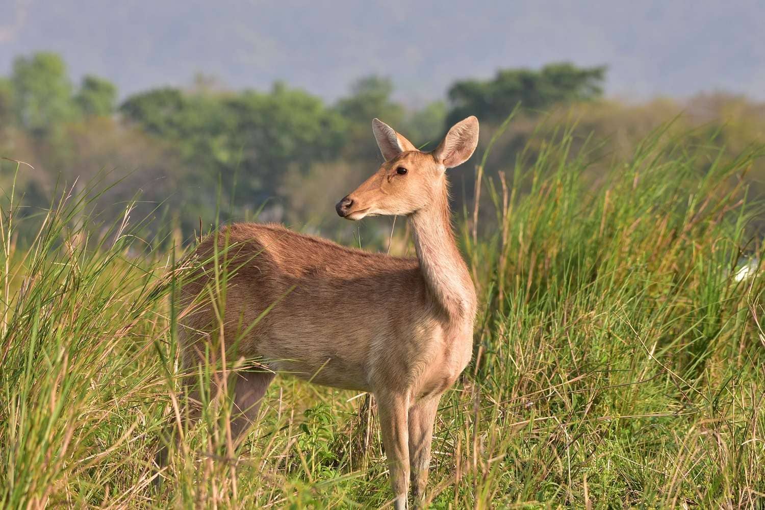 Charming Northeast 3