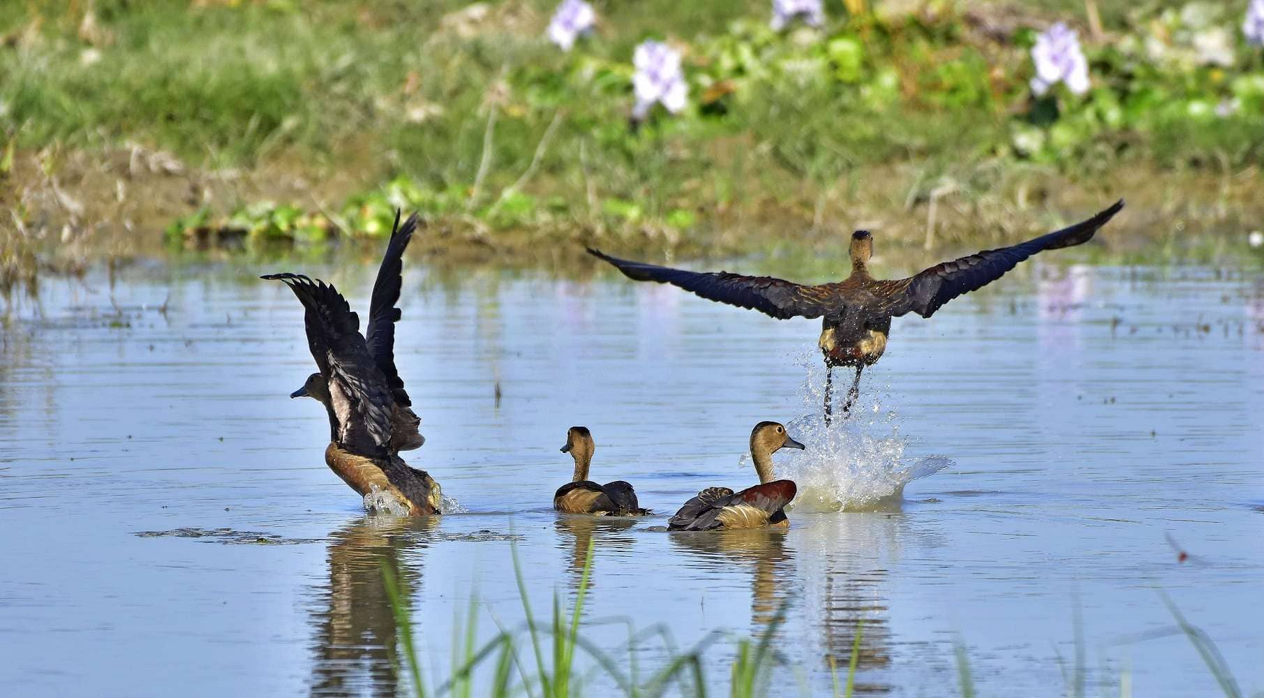 Charming Northeast 4